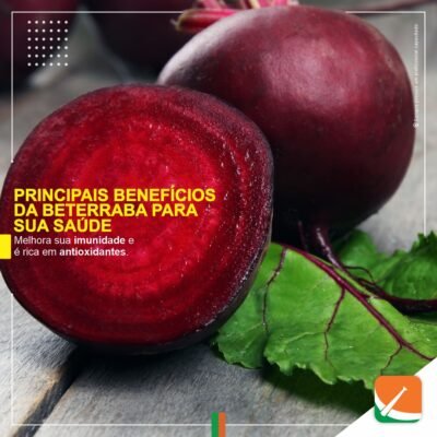 miniatura do curso